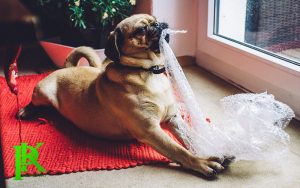 tầm quan trọng xốp nổ