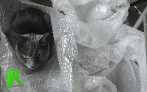 tai su dung xốp bọc nổ