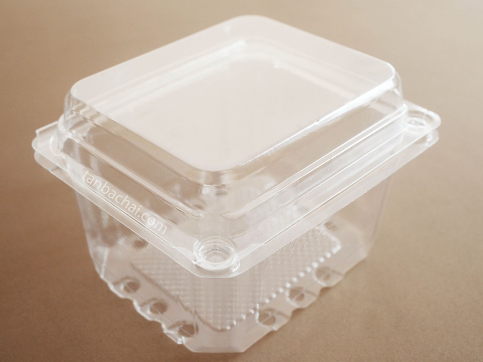 màng nhựa pet trong